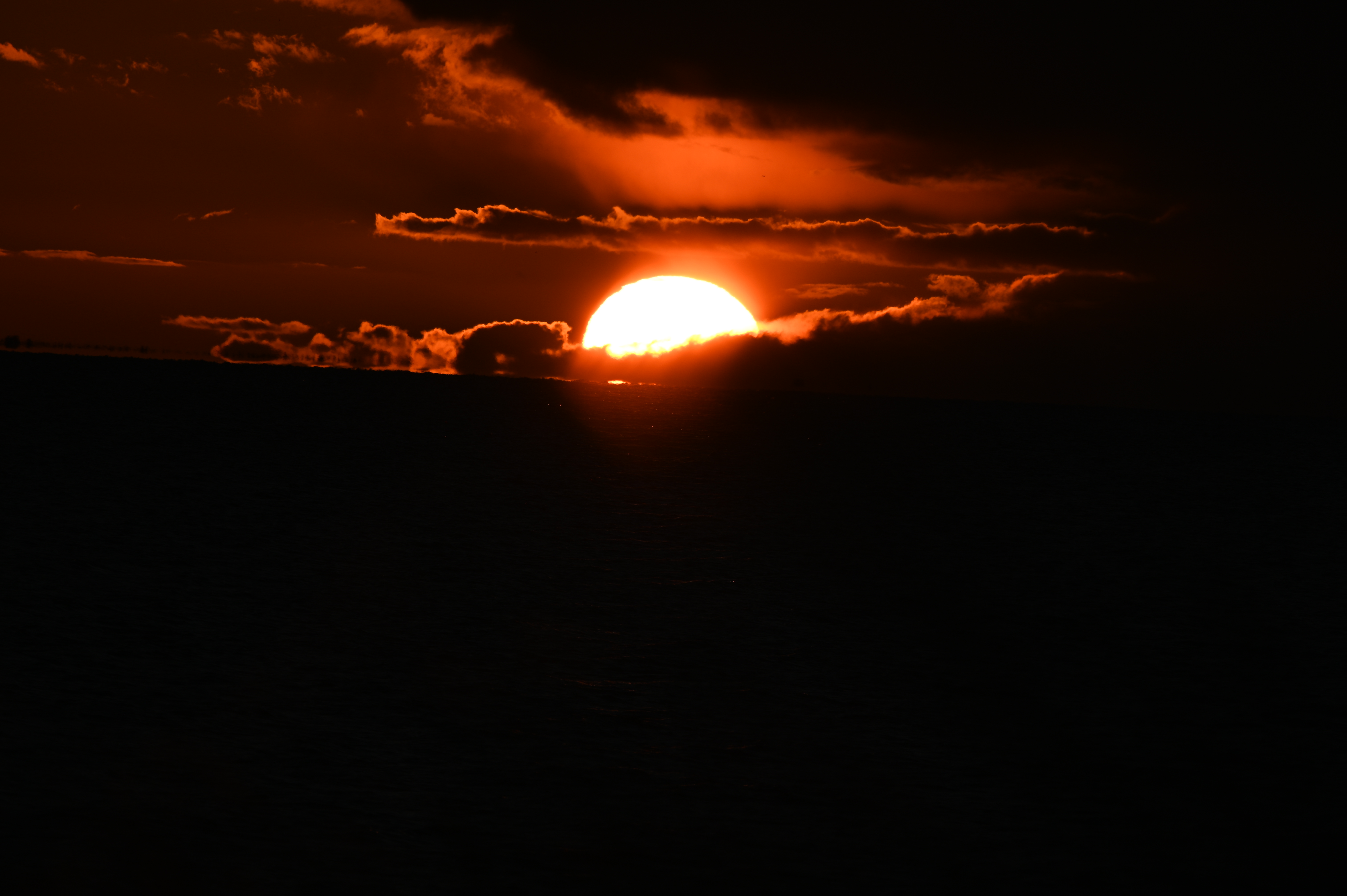 2025/10/18 - walk/DSC_0477.JPG